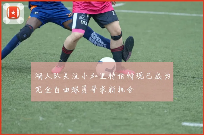 湖人队关注小加里特伦特现已成为完全自由球员寻求新机会