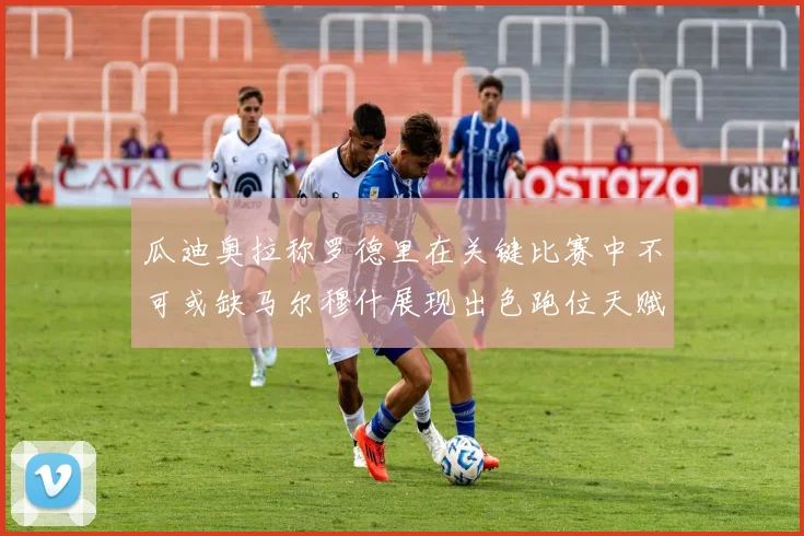 瓜迪奥拉称罗德里在关键比赛中不可或缺马尔穆什展现出色跑位天赋