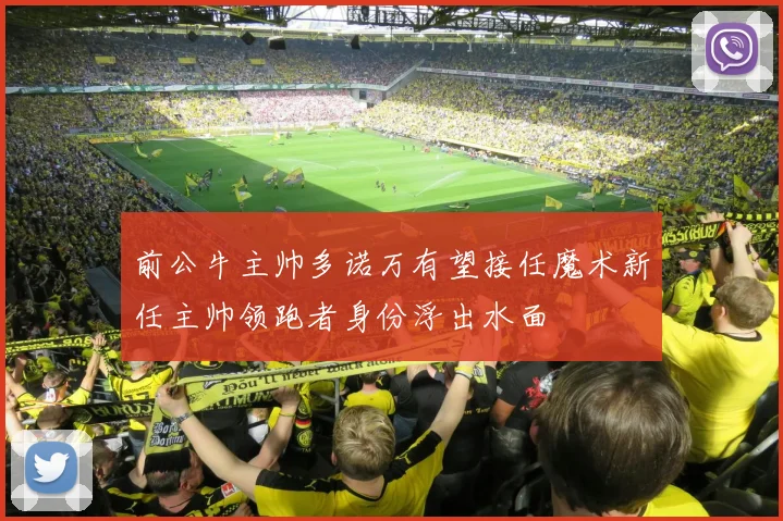 前公牛主帅多诺万有望接任魔术新任主帅领跑者身份浮出水面