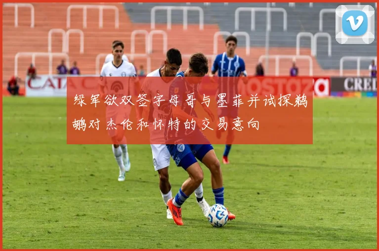 绿军欲双签字母哥与墨菲并试探鹈鹕对杰伦和怀特的交易意向